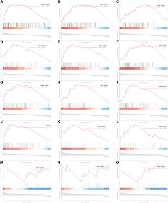 Establishment of a prognostic ferroptosis- and immune-related long noncoding RNAs profile in kidney renal clear cell carcinoma